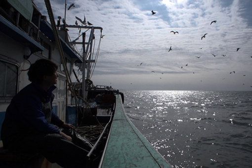 영화 ‘강선장’의 한 장면. 사진제공|민치앤필름