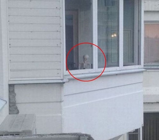 ‘공포의 이웃집’