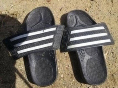 삼선슬리퍼의 반란