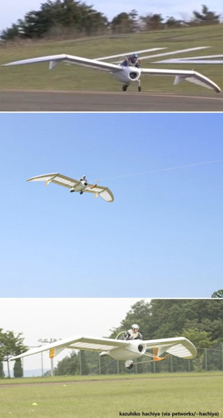 만화 같은 비행기