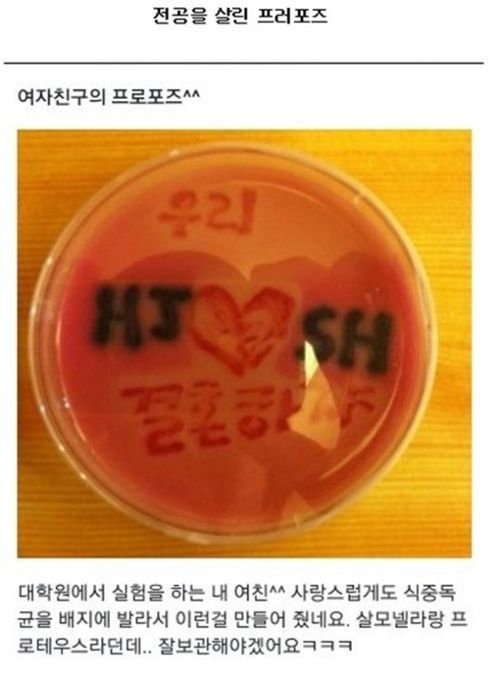 전공 살린 프러포즈