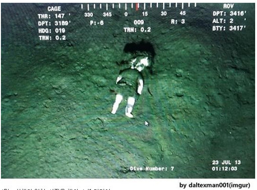 1만m 심해의 인형