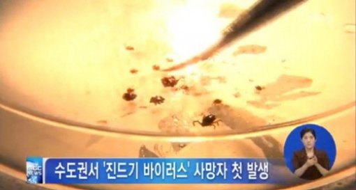 ‘수도권 첫 진드기 사망자’. 사진=해당 보도 캡처
