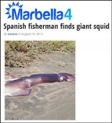 ‘9m 대왕 오징어 발견’.