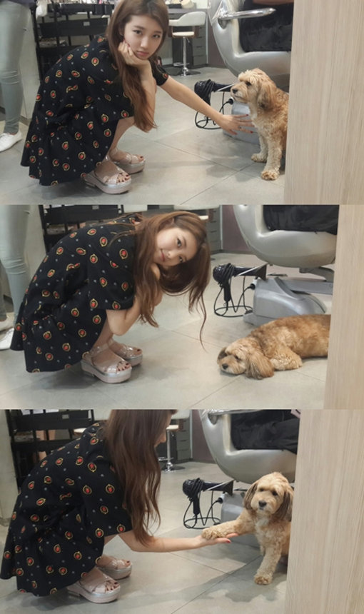 ‘수지 순심이 인증샷’