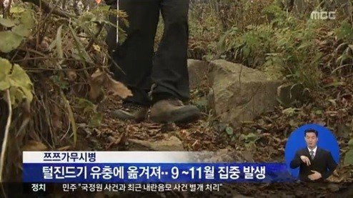 사진=MBC 보도화면 캡처.