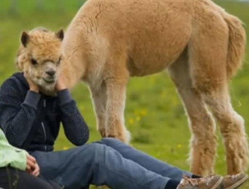 너무 어려운 착시 사진