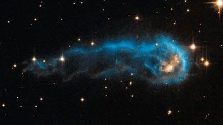 아름다운 우주 벌레.