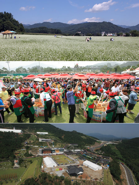 ‘힐링여행’의 계절, 가을이 성큼 다가왔다. 전국의 유명 여행지들은 가을 냄새가 물씬 풍기는 축제를 열고 관광객들을 유혹하고 있다.강원도 평창의 평창효석문화제에서는 하얀 소금을 뿌려놓은 듯한 메밀꽃의 장관을 만날 수 있다. (위쪽부터) 세계적 명품인 괴산고추의 모든 것을 만날 수 있는 충북 괴산 고추축제와 한방으로 힐링을 체험할 수 있는 경남 산청전통의약엑스포 전경. 사진제공｜한국관광공사