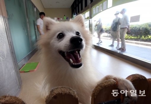 사진|동아일보DB (위 사진은 본 기사와 무관합니다)