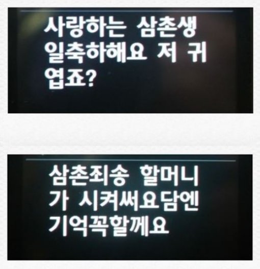 귀여운 조카의 문자 2탄. 사진=온라인 커뮤니티.