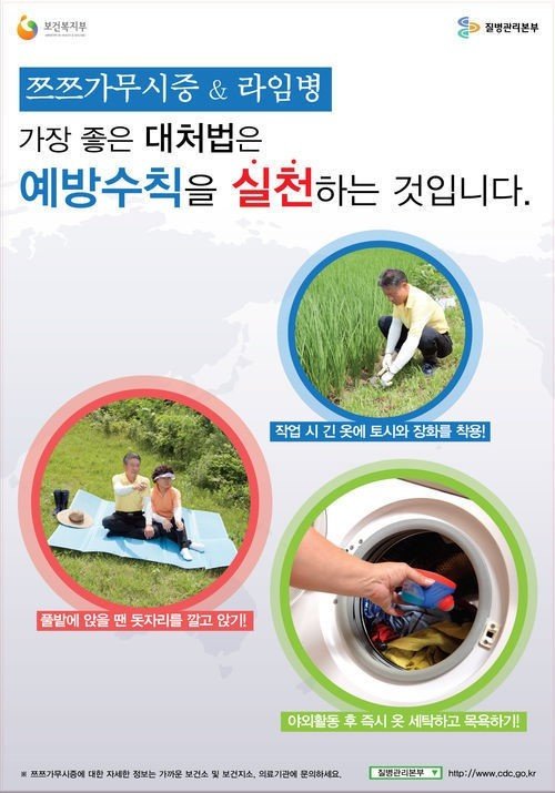 쯔쯔가무시병 증상