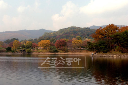 가을 은행 효능