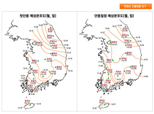 단풍 축제 일정. 출처 | 기상청