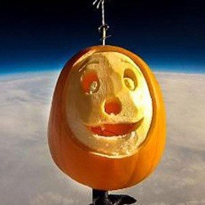 우주로 간 호박. 사진=온라인 커뮤니티.