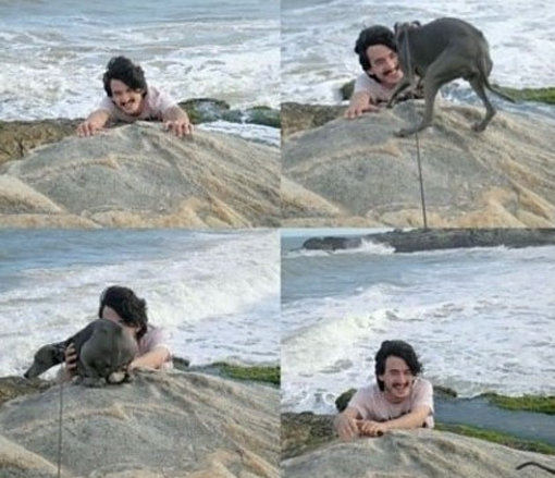 ‘상황을 오해한 개’