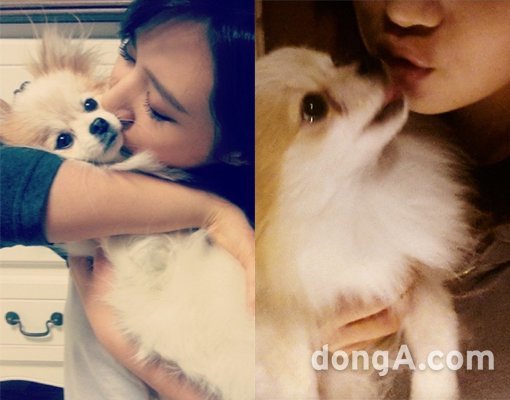 ‘유리 애견 뽀뽀’