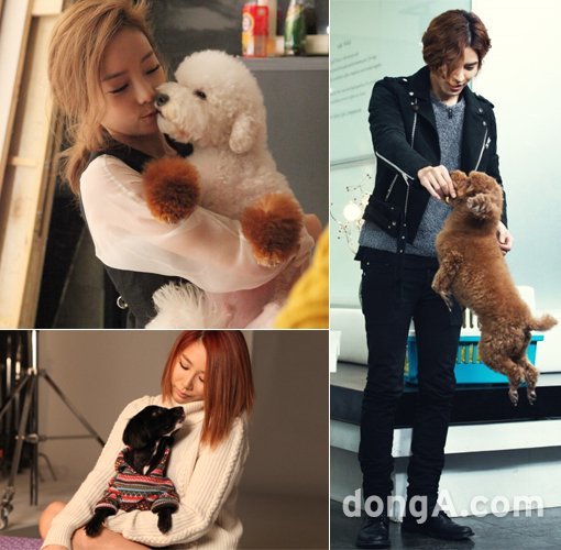 ‘펫토리얼리스트’