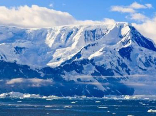 출처 | 온라인 커뮤니티