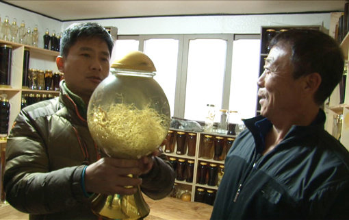 ‘산생산사(山生山死)’의 주인공 이길호(왼쪽) 씨는 잡초도 먹고 말벌의 집을 술로 담그는 등 산의 모든 것을 건강비법으로 이용하고 있다. 사진제공｜채널A