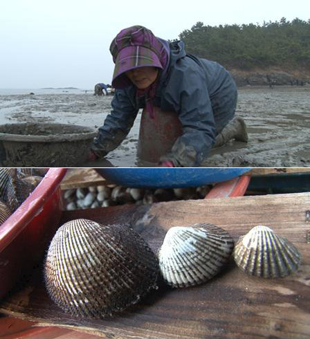 사진제공｜채널A