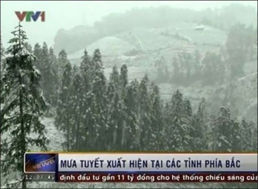 사진출처 ｜ 현지 방송