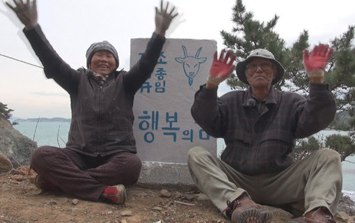 나은 삶을 위해 도시를 떠나 무인도 초도에서 살고 있는 김대규·조종임 부부는 10년의 섬 생활로 잃었던 건강과 웃음을 되찾았다. 사진제공｜채널A