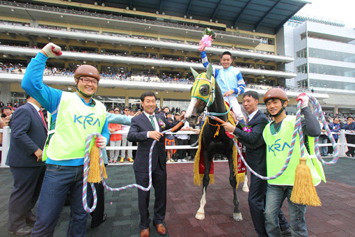 2013년 5월 코리안 더비에서 수말들을 제치고 우승한 ‘스피디퍼스트’의 시상식. 이 우승에 힘입어 그해 최우수 3세 암말에 선정되었고 올해 미국 경마 우승에 도전한다. 사진제공|한국마사회