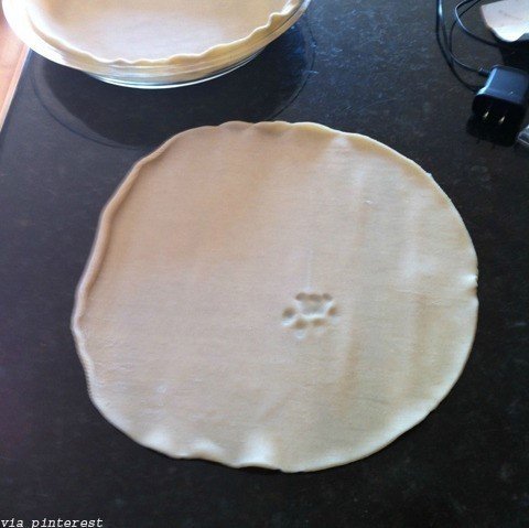 고양이가 밟은 파이.