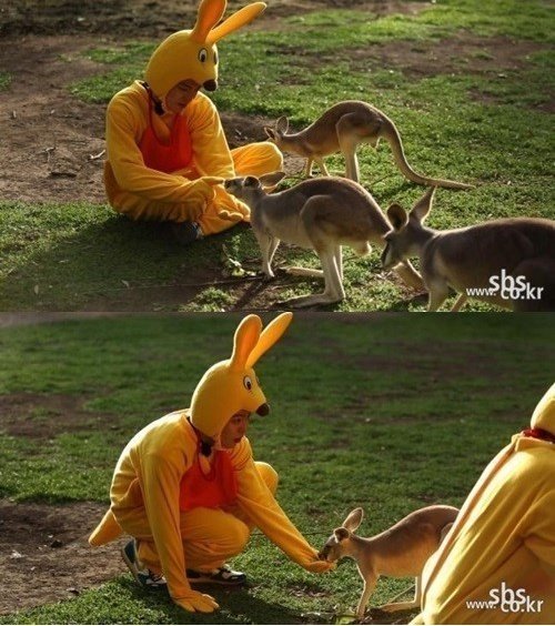 ‘김우빈 캥거루 변신’. 사진제공|SBS