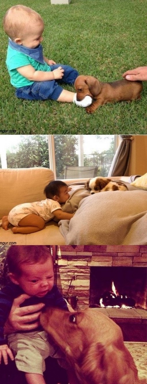 개를 처음 본 아기들.