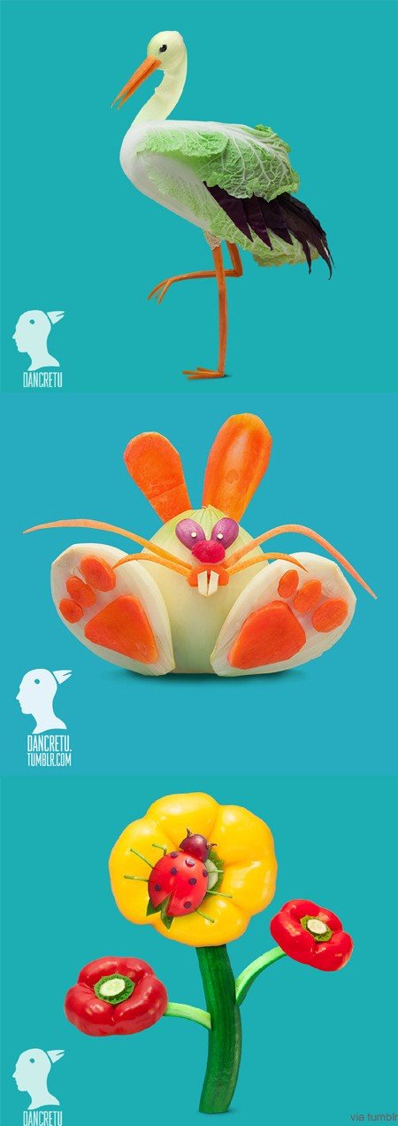 ‘샐러드 재료 음식 아트’(출처= 댄 크레투(Dan Cretu) 페이스북)