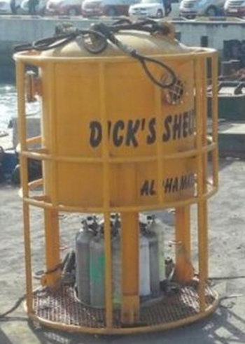 언딘 청해진해운과 계약. 사진=다이빙벨(온라인 커뮤니티)