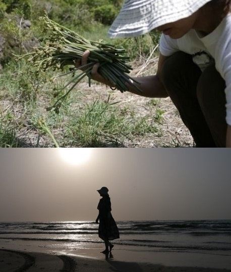 사진출처|이효리 블로그