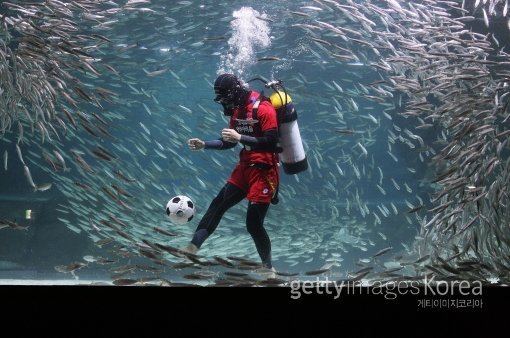 사진=ⓒGettyimages멀티비츠