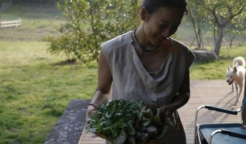 이효리 블로그 글 '모순'