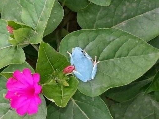 사진출처|부천시청 페이스북