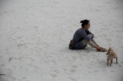 사진출처|이효리 블로그