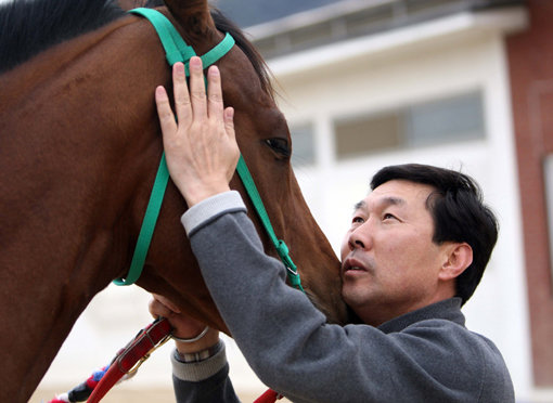 최고의 ‘말 관상쟁이’로 불리는 김영관 조교사가 경주마를 유심히 관찰하고 있다. 사진제공｜한국마사회