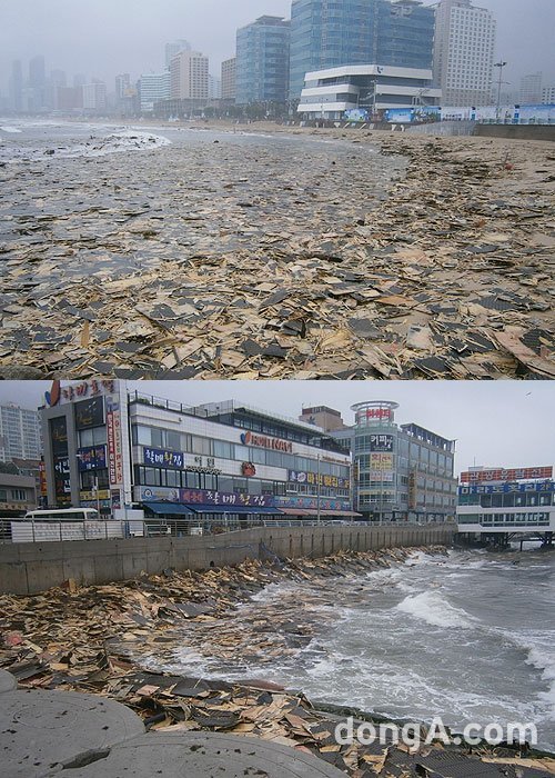 사진= 해운대 구청 제공