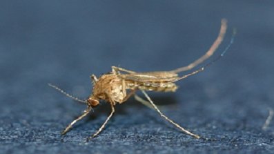 사진=질병관리본부