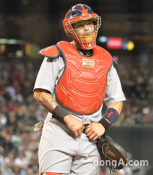 야디어 몰리나. 동아닷컴DB