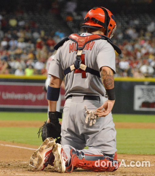 야디어 몰리나. 동아닷컴DB