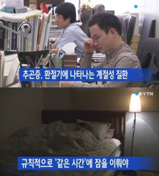 사진출처|YTN 방송화면 캡처