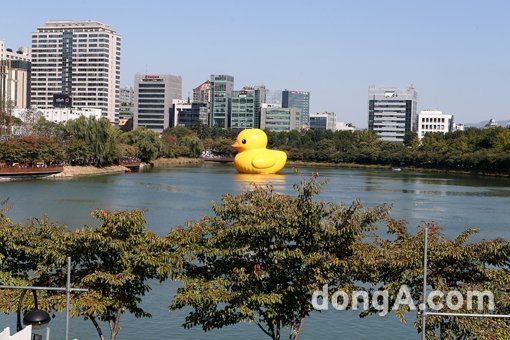 러버덕이 14일 오후 서울시 송파구 석촌호수에 공개됐다. 동아닷컴 방지영 기자 doruro@donga.com