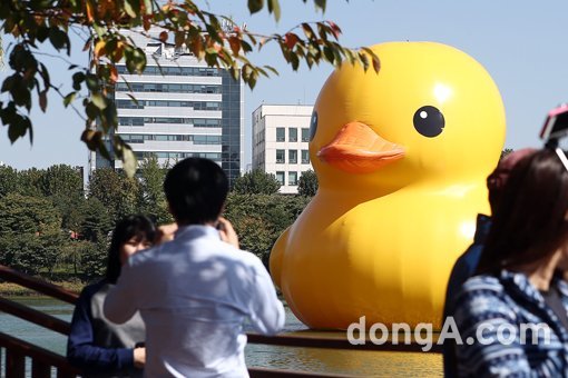 러버덕이 14일 오후 서울시 송파구 석촌호수에 공개됐다. 동아닷컴 방지영 기자 doruro@donga.com