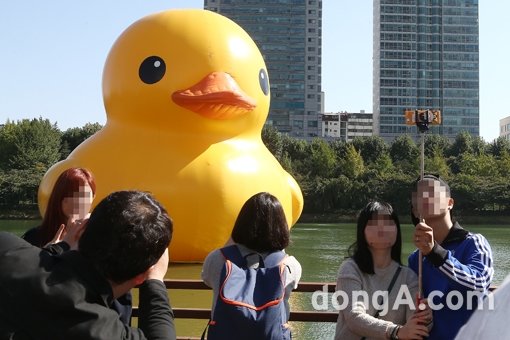 사진은 국내 러버덕. 동아닷컴DB