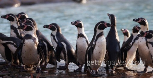 사진=ⓒGettyimages멀티비츠