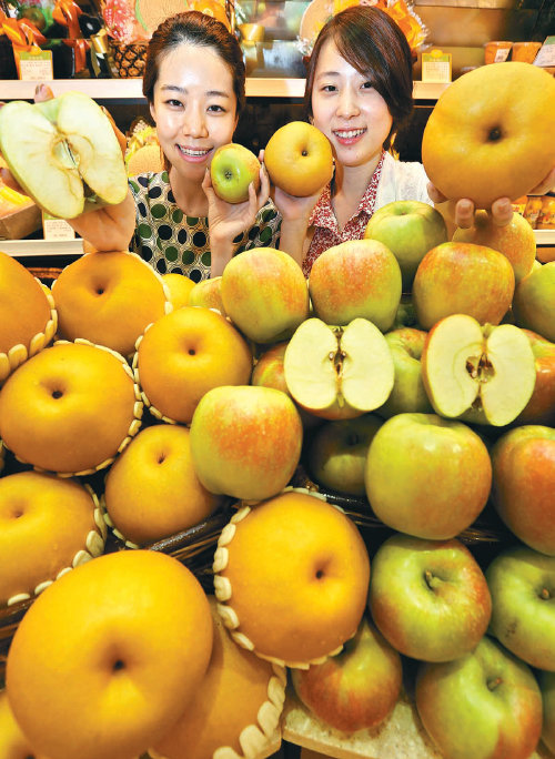 '사과 보관법' 사진|동아닷컴DB