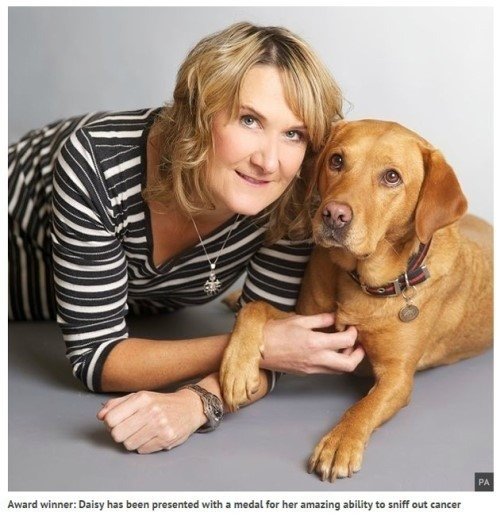 ‘냄새로 주인을 암에서 구한 개’. 사진｜미러 홈페이지 캡처